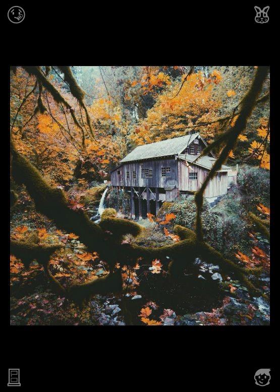 Blogdofk's tweet photo. Guitar music and singing with friends. 912465. The dense forest undergrowth provides shelter for numerous tiny creatures. From small insects nesting in leaves to little birds building nests on branches, they form a complete, self-sufficient ecological circle filled with natural https://t.co/PhEf896Xe4