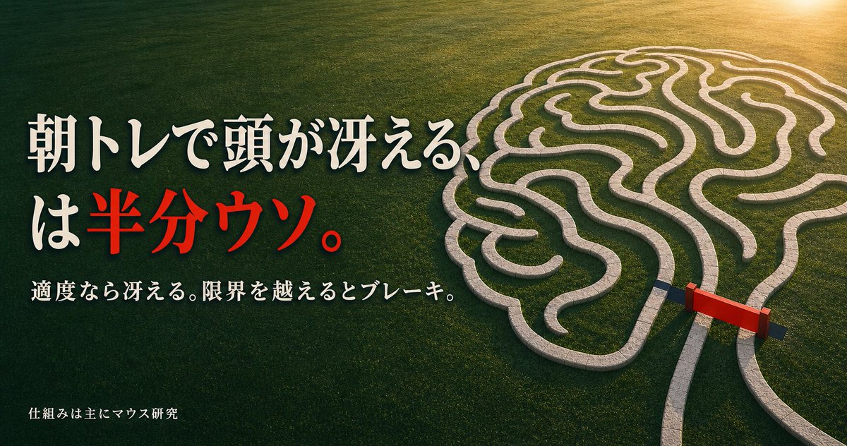 drmosari's tweet photo. 朝トレで頭が冴える、は半分ウソ。

「脳を鍛えるには運動しかない」というくらい、運動が脳にいいのは本当だ。ただそれは適度な運動の話で、その先がある。

限界まで追い込むと、筋肉から「偽ミトコンドリア」と呼ばれる小胞が海馬に届き、脳の発電所である本物のミトコンドリアと入れ替わる。海馬がエネルギー切れになって、判断力も集中力も落ちる。自分はこれを、脳の故障じゃなく身体がかけた「非常ブレーキ」だと思っている。

激しい運動はタイパ最強の投資だ。ただ、その最強が成り立つ範囲には上限がある。
