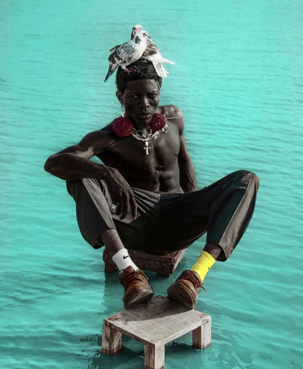 l33fUU's tweet photo. The percher 🪽🧘🏿‍♂️ https://t.co/6gddK7Y9cd