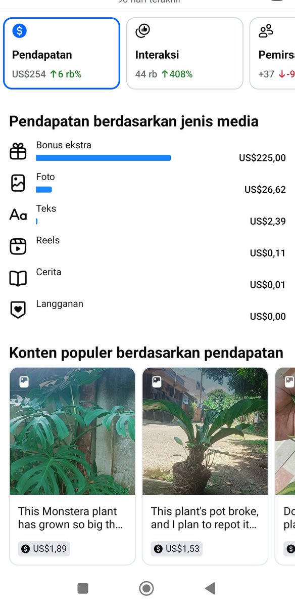 story'mu tweet media