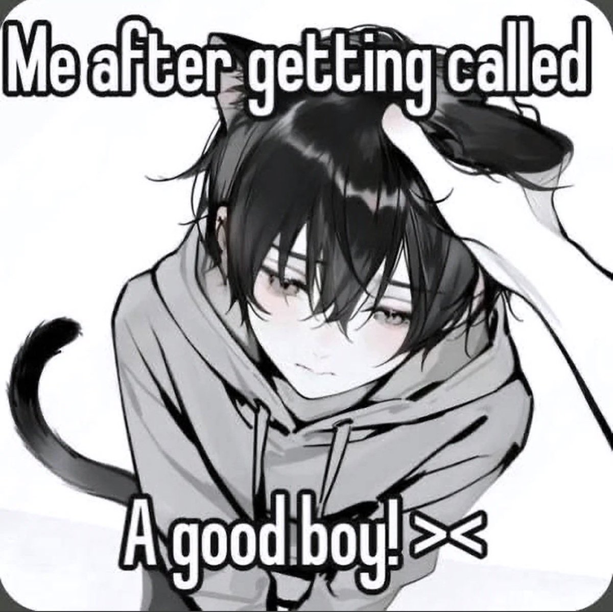 voidd kirito tweet media