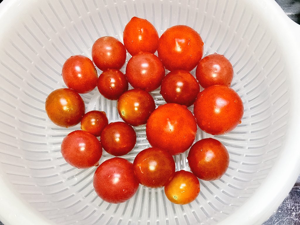 natyunsan's tweet photo. 間が空いちゃった💦
1枚目から、6日7日9日10日の収穫🍅
かなり小さい子が増えてます😣
肥料や���温とか色々重なってなんだろうなぁ🤔今現在、花は咲くけど新しい実はついてないから終わりが近そうです🍅 \🍅/🍅最後までお世話頑張ろ😊
 #ベランダ菜園  #家庭菜園 https://t.co/pxnbSNks3J