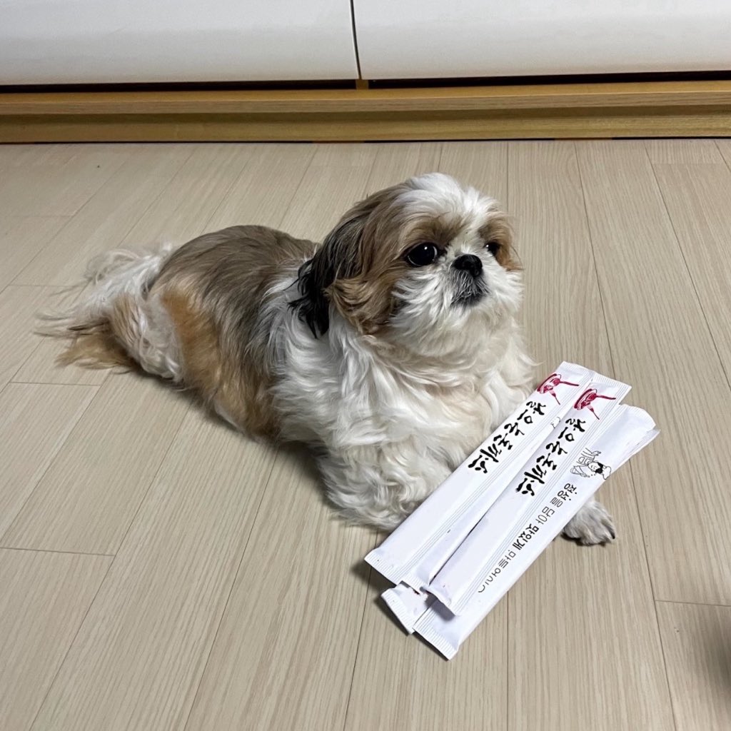 no_Leemongryong's tweet photo. 삶의무게=날으는돈까스나무젓가락 https://t.co/XPUU0FzYKK
