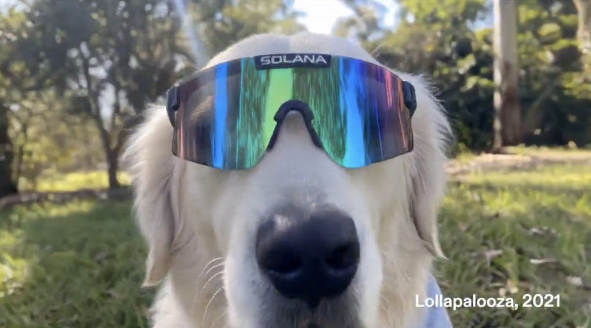 ziah's tweet photo. keep moggin gang 🐶😎

$mogdog https://t.co/TWtu3afSuK