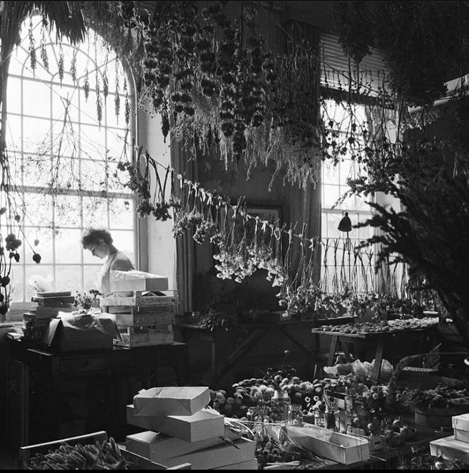 artinsociety's tweet photo. Imagine having this as your work station ~ in 1963, Marion Ash worked at the Wall Court Floral Library in Corfe Castle, Dorset, and here she is in the flower drying room (photo: John Drysdale) https://t.co/eYaVvyk9iS