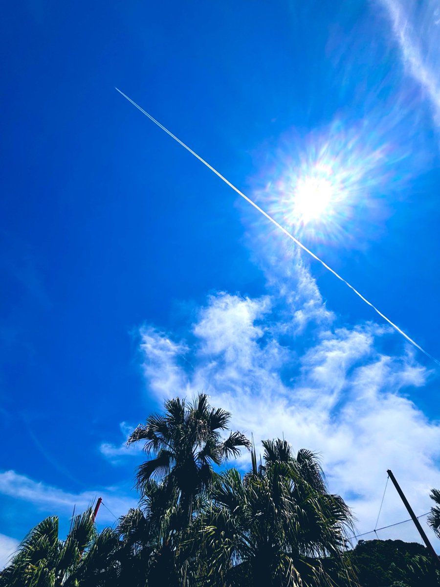 Morzat_Chopin's tweet photo. 空♡暑いぞ🌞💦まだ梅雨明けしてないのに
#空 #イマソラ #土曜日 #青空 #雲 #飛行機雲 #太陽 #綺麗 #ヤシの木 #自然 #夏空 #sky #skylover #Saturday #bluesky #cloud #contrail #sun #beautiful #nature #summer #hotday https://t.co/slvoOST2uE