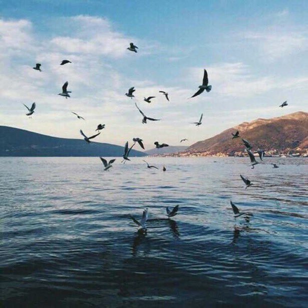 bsommaaa's tweet photo. انكسر لله إن شئت ألا تنكسر 🕊️ https://t.co/RAHqA1kJ0K