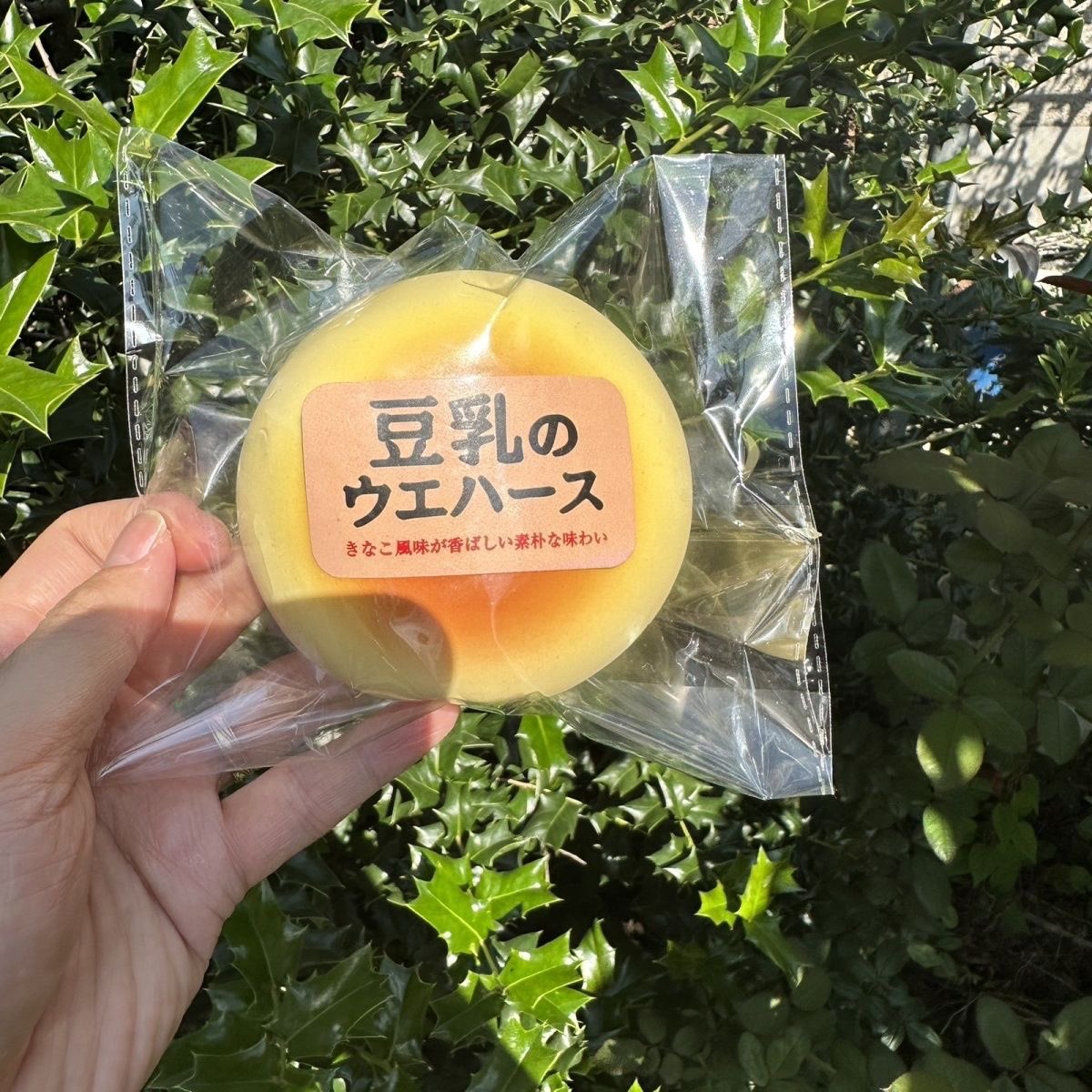 happisxr's tweet photo. pre - order 🍞 สกุชชี่บันขนมปัง / hachimi 

🫧 อันนี้ไซส์เล็กนะคะ
🤍 ราคา 120.- (มัดจำ 50.-)

ปิดรับ 15/7 รอของประมาณ 2-3 วีคค่า 🙏🏻

#ตลาดนัดสกุชชี่ #สกุชชี่ #squishy https://t.co/dHvdvKywgL