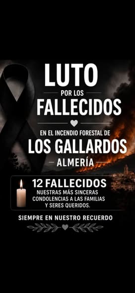 06Josemolina's tweet photo. @PSOEValencia @pilarbernabe @borsanro @MaiteIbanez @javimateoVLC @elisavalia @bsantamariaherr @DolorsLopez8 @SocialistesVal @rosadg_ @Alessio_CL ¡¡CIUDADANOS DE ESPAÑA GRANDE Y LIBRE!! ESTE CRIMINAL MAFIOSO, NO SOLO SE RIE DE VOSOTROS, ESCUPE A LOS FALLECIDOS EN ALMERIA POR EL FUEGO¿Que hay que hacer?TENÉIS UN LIDER QUE ACABARÁ CON ÉL ¡¡VOX y ANIBAL LUCHARÁ Y VENCERÁ LA MAFIA DE MONCLOA!! https://t.co/37xsxccEaO