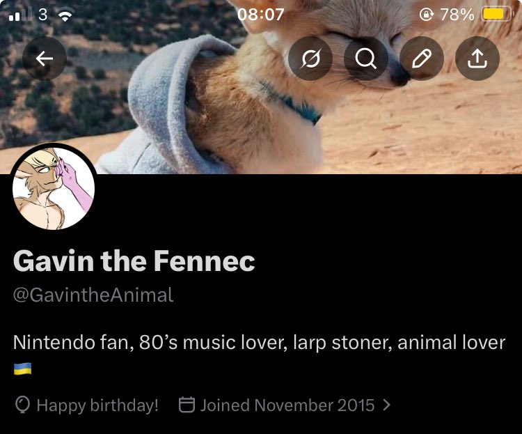 Gavin the Fennec tweet media