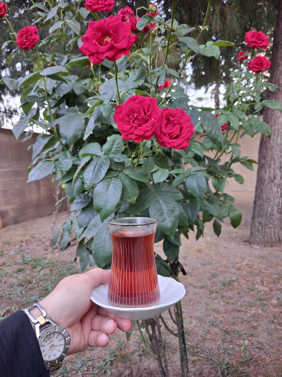 Svd_Gunes's tweet photo. Sevgi,sevdiğine zulmetmemektir. Sevgi, sevdiğinin kalbinde yara olmamaktır. S.Güneş
#günaydın https://t.co/b8zifhw80M