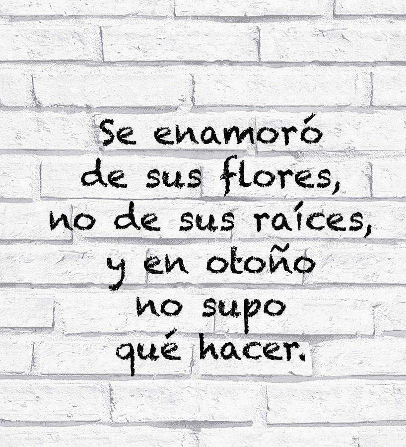 Er_Gaspasho's tweet photo. Buen día a tod@s… https://t.co/xh5DQ6mfEC