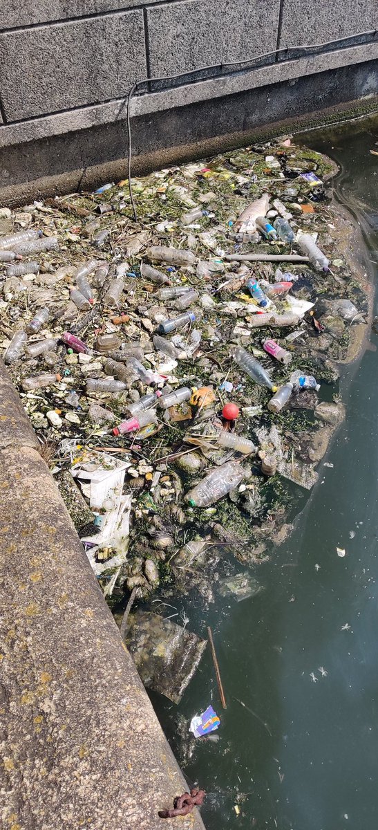 eatgoodgerms's tweet photo. Could Peel Holdings clean up the docks in Birkenhead? I believe they can afford it. https://t.co/guYonAF0ao