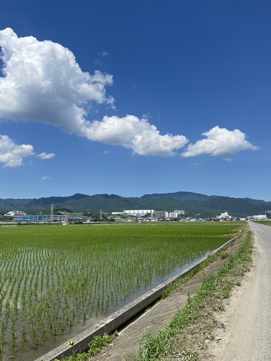 seochang1's tweet photo. 田舎に旅行 https://t.co/Qqej5mUkED