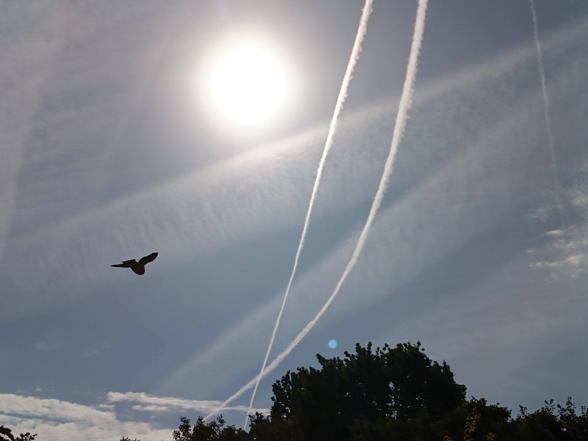 DELTA9_DELTA9's tweet photo. meanwhile over in Holland its getting kind of messy #geoengineering @IonisedSkyWatch https://t.co/b5F6TAKC2O