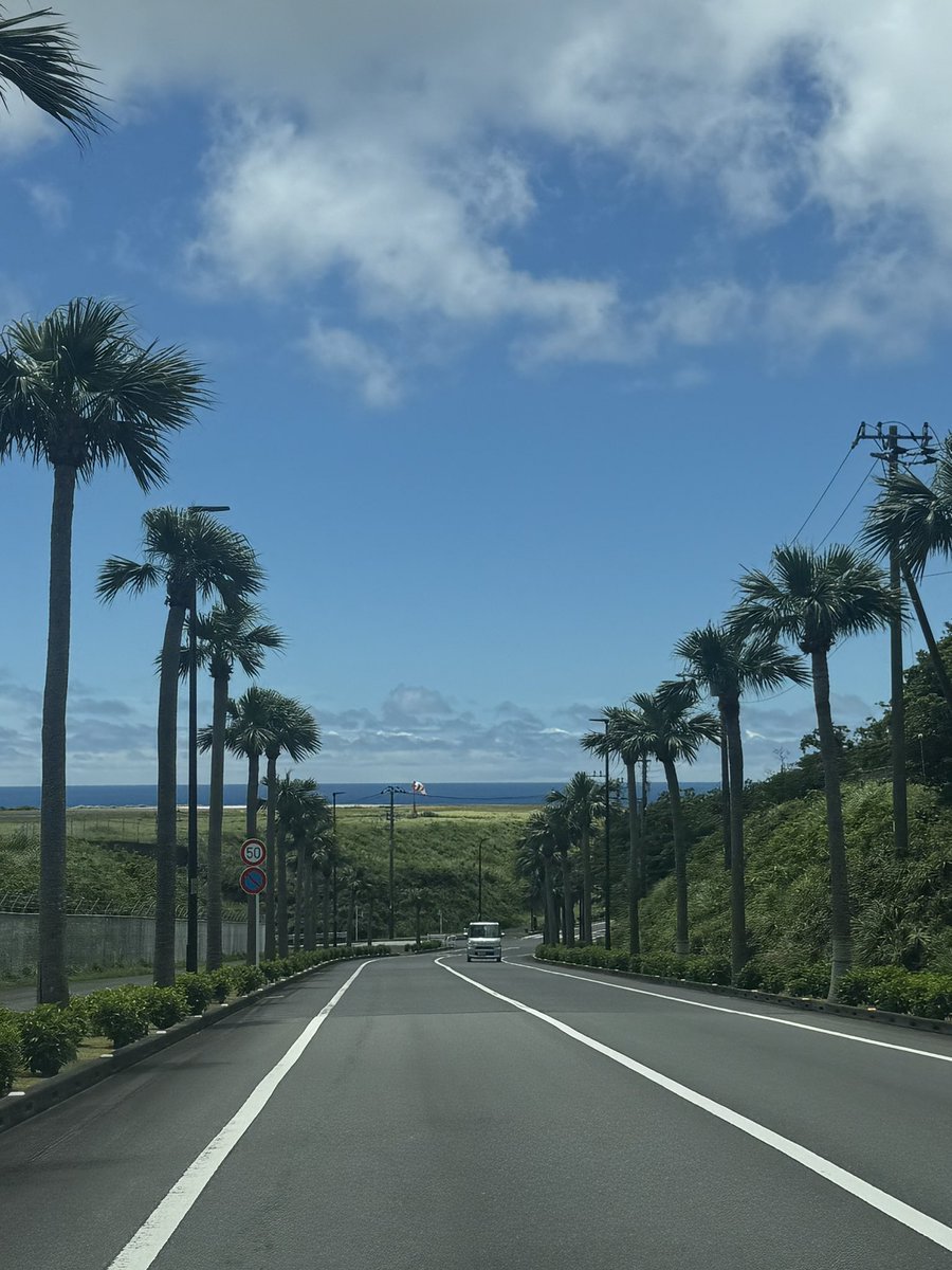 maja_mayumi's tweet photo. 八丈島はこんなとこです🏝️ https://t.co/JxOlUxbks3