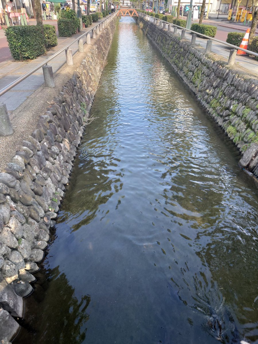 monaka_o's tweet photo. さすが日本一暑い街の1つ、熊谷 https://t.co/Y36aLjUZlW