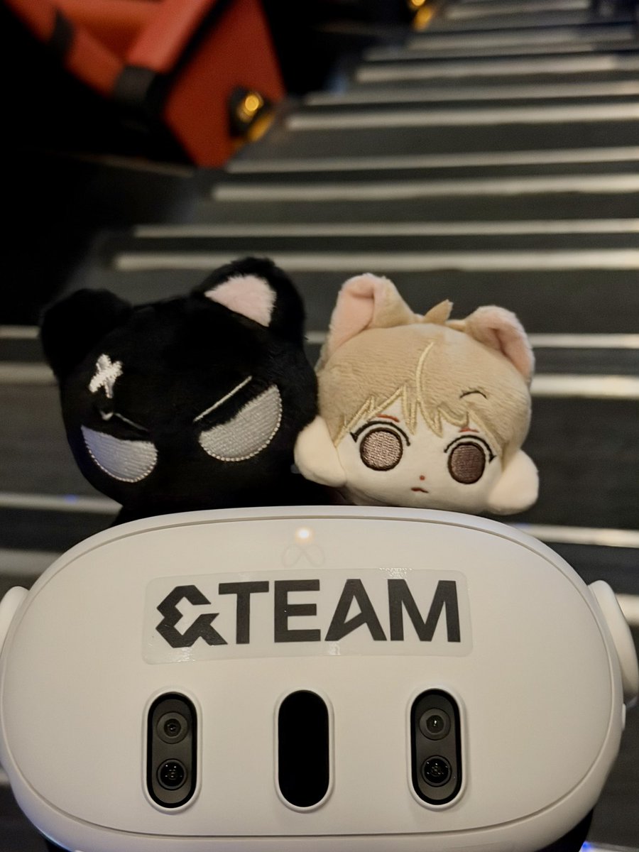 nachssang's tweet photo. 🐈‍⬛🐈🐾💕 https://t.co/LmDe8nkxZl