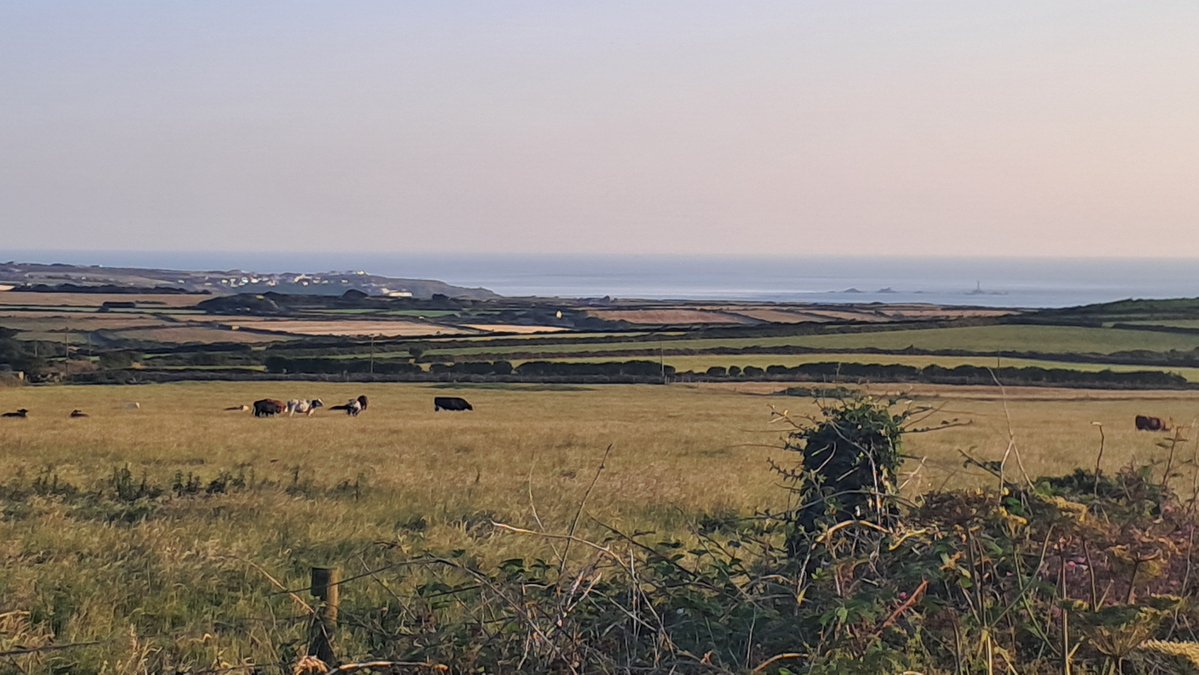 CB_cycles's tweet photo. Morning all π
Today's the day I set of from Lands End, feeling refreshed after a good nights sleep, needed after yesterday's train trauma getting here.
Which is available to read about on Substack now #cycling #LEJOG #ukcyclechat
https://t.co/eTKTJ0inUC https://t.co/m1na16b0l9