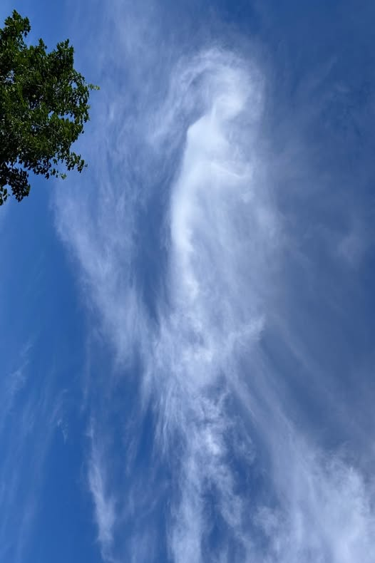 DELTA9_DELTA9's tweet photo. this was taken in Finland #geoengineering @IonisedSkyWatch https://t.co/uSriaGeh0f