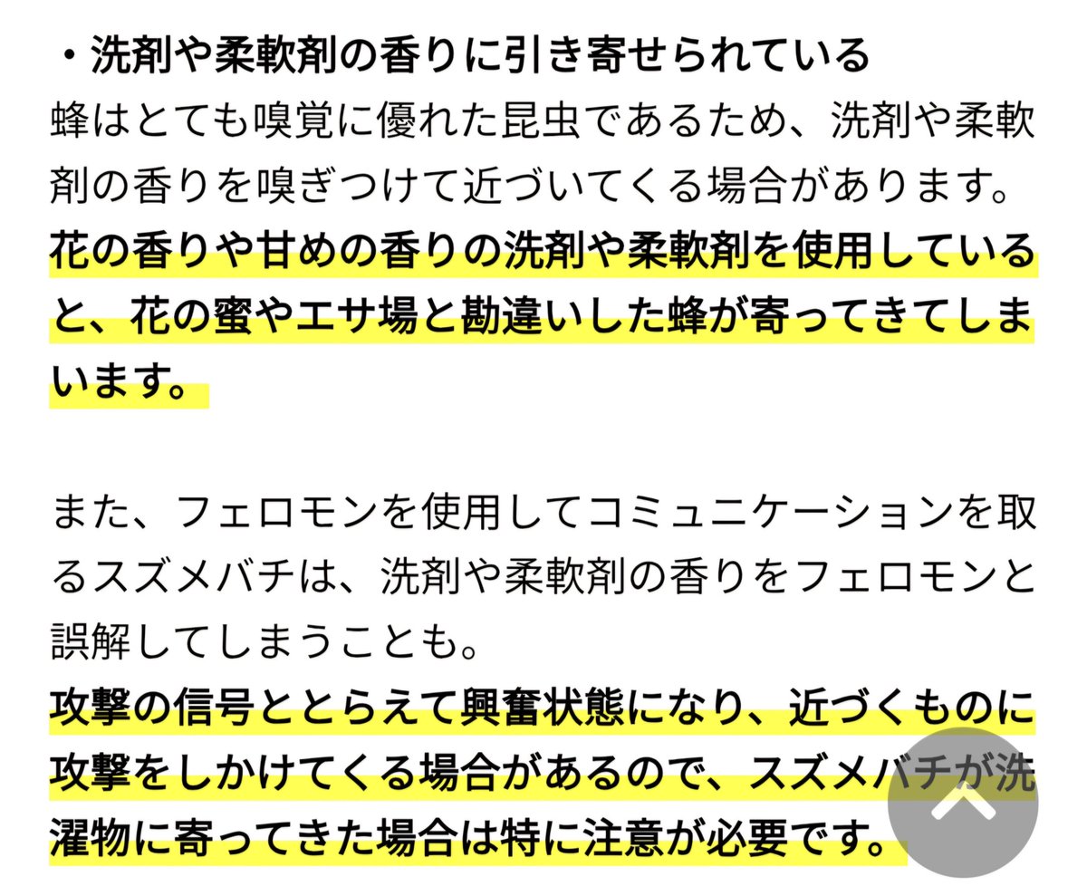 MikiAzusa's tweet photo. 蜂、カメムシ、クマ、何年も前から警告あるのに、知らない人は知らないまま。
もっと大々的に｢洗濯物に香り付けは危険！｣ってワイドショーとかでやったほうがいいよ。
『洗濯物に蜂が！蜂が寄ってくる原因や対処・予防方法について解説| EPARKくらしのレスキュー』 https://t.co/8m1D4uwmFg https://t.co/4S3I6v8Rvu