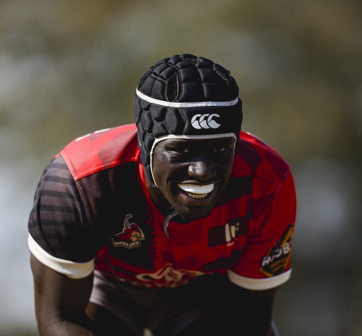 Fat Cats Podcast 🏉🎙️ tweet media