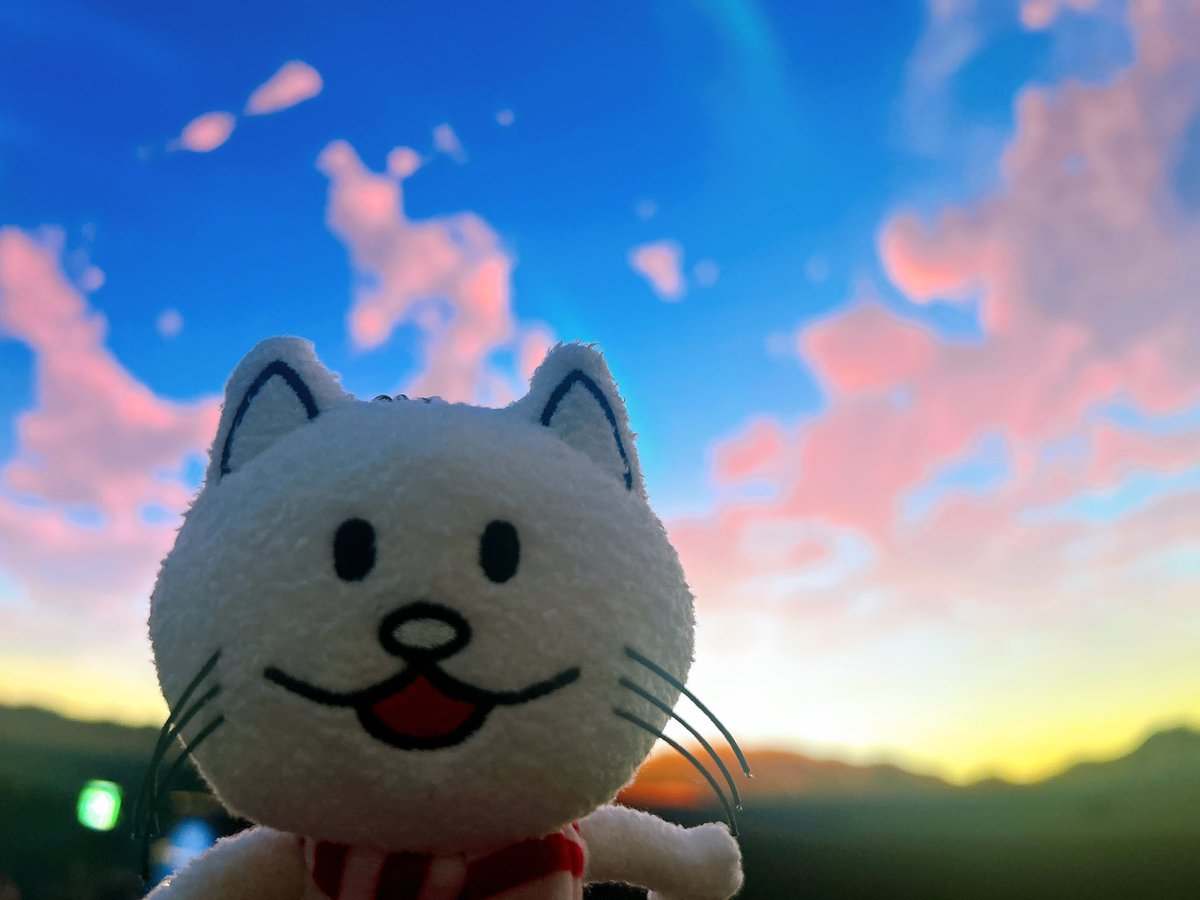 _chr92_'s tweet photo. 感動してすこし泣いた😭

私のチビニコルさん、
下がり髭なのよね🥸
そこも可愛い。

#流れ星を探して
#BUMPOFCHICKEN https://t.co/E6m7EPsm52