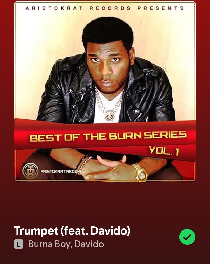 Burna's Archive. tweet media