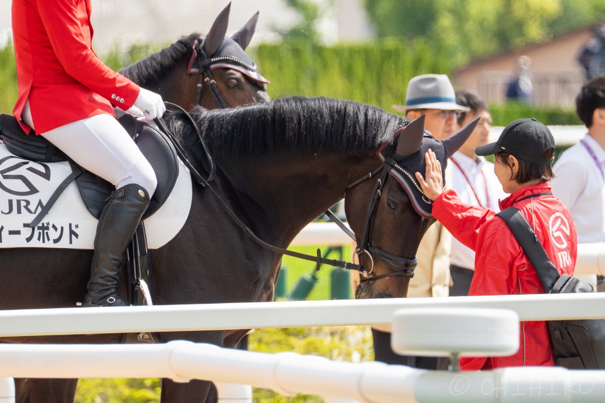 haragurokikaku's tweet photo. 色んな人にたくさん可愛がられて、愛されてるボンド

#ディープボンド
#WELOVEHORSES https://t.co/MTf4w9vjMd