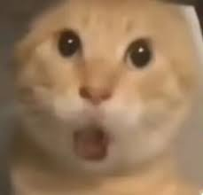 cookbnbdev's tweet photo. The hottest meme figure on Robinhood right now is the cat, and the most popular cat in China is "Hajimi." Among them, the "Hajimi Nanbei Mung Bean" version features a color scheme that perfectly matchesRobinhood's branding—let's share it. https://t.co/jILvW68tzv