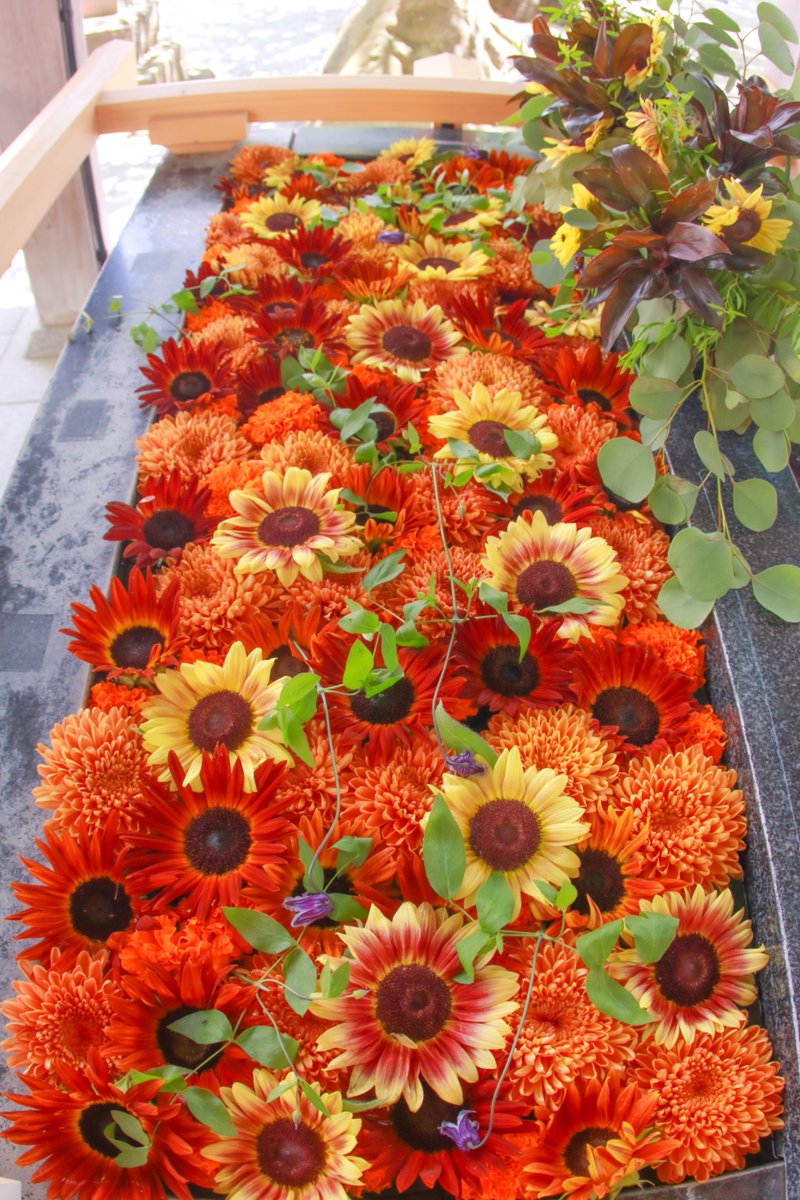 66___boc's tweet photo. 太陽みたいなパワー溢れる花手水を
ご覧ください🧡 https://t.co/SzFBaFfea0