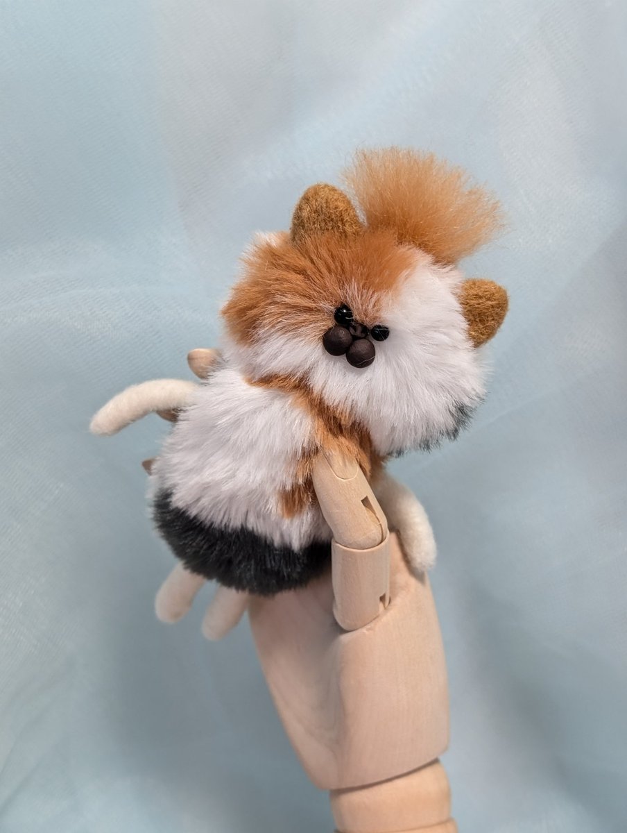 _mofuzo_'s tweet photo. 捕まえました！
「にゃんころ」メルカリにて出品中です。
 #もふ造  #ハンドメイド  #アートドール  #ぬいぐるみ https://t.co/b2EpoyCypd