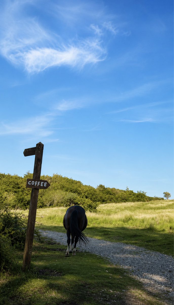 JohnBetjeman's tweet photo. Dartmoor https://t.co/72O4nYDowN