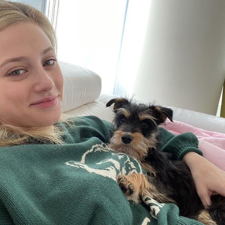Bryann_51's tweet photo. 🐶🐶🐶🐶 https://t.co/bKmpwQnRGi