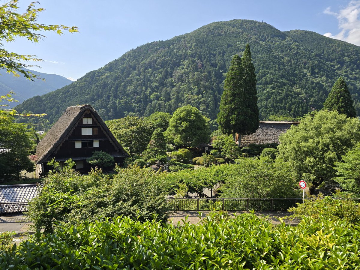 rose110430's tweet photo. 暑いから……ちょっとは気分的に涼しくなるよう(o・ω・o) https://t.co/Unz1HEetsr