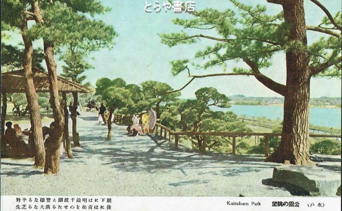 toraya310's tweet photo. 絵葉書は昔から好きだった。
戦後、昭和50年くらいまで、カメラは高価で、現像代、プリント代も高かった。
だから、誰もが、旅行に行くと絵葉書を買った。
戦前は、カラー写真などなかった。
その時代のカラー写真は人工着色だった。
凄い技術。
その人工着色の絵葉書が入荷した。
絵葉書の袋の題名は「水戸麗色」。
旧蔵者は昭和17年6月20日に購入している。
カラー写真と見まごうばかりの出来。
1枚目は水戸城。白黒では想像できない美しさ。
2枚目は好文亭。消失前の建物。
3枚目は偕楽園と千波湖、今より広かった。
4枚目は茨城県庁、今は三の丸庁舎と呼ばれている。
良く見ると、農人形の銅像が。
現今の白黒写真カラー化よりは原色に近いと思います。
おそらく現物を見て着色したでしょうから。