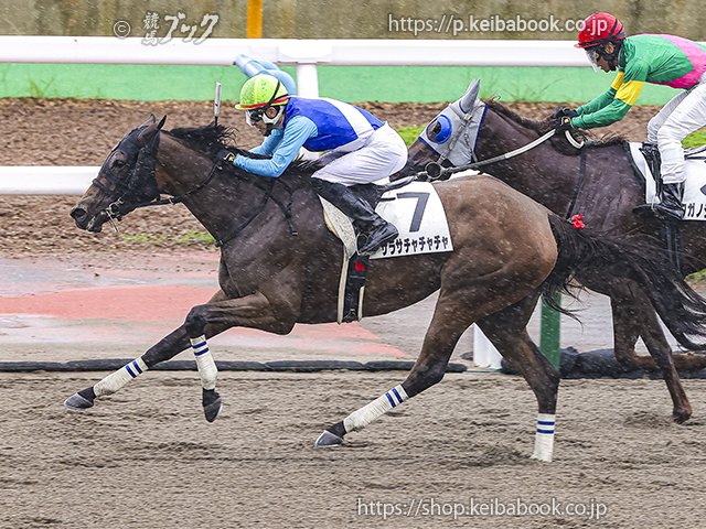 7/11(Sat) 函館2R・3歳未勝利 #サラサチャチャチャ 見事勝利！👑 Dam