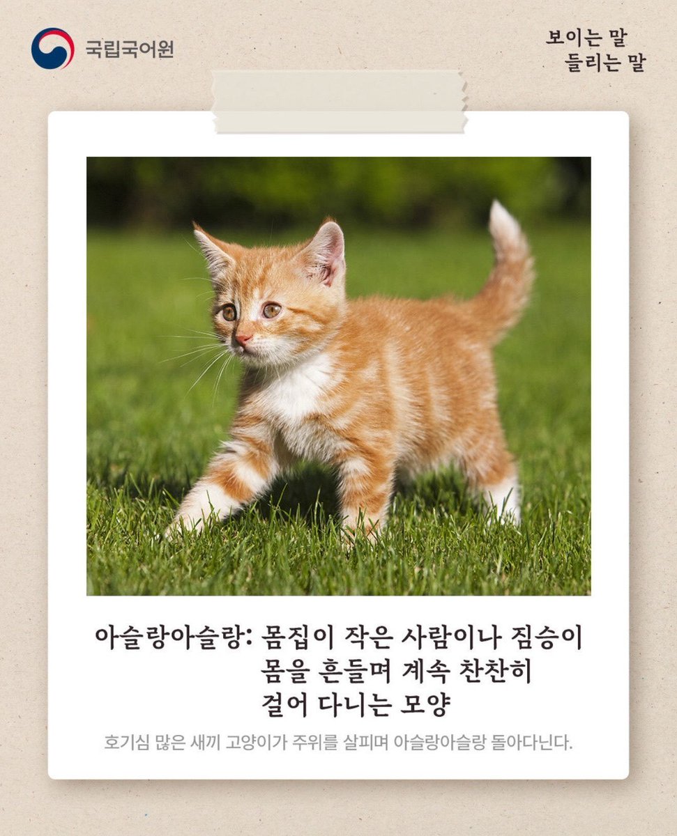 mylittlegirl_A's tweet photo. (아슬랑아슬랑.) https://t.co/LV7LFb78LQ