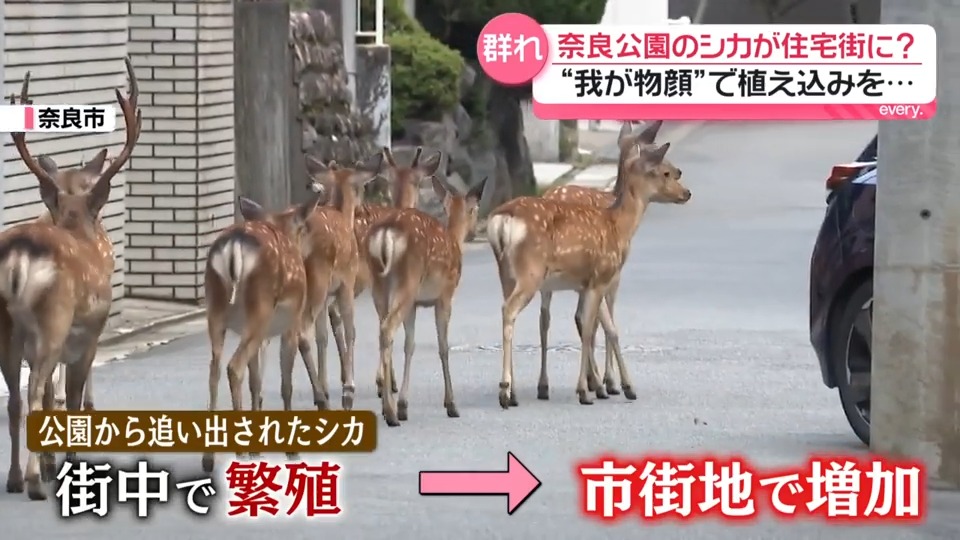 Ryo_Saeba_3 tweet picture