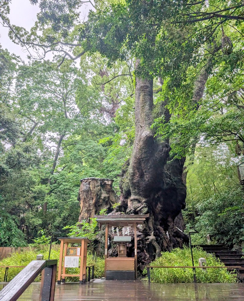 pianoagclef's tweet photo. 前月、台風と現地集合した夫の誕生日祝いでの熱海旅行✨️ https://t.co/ml9Jd8byEp