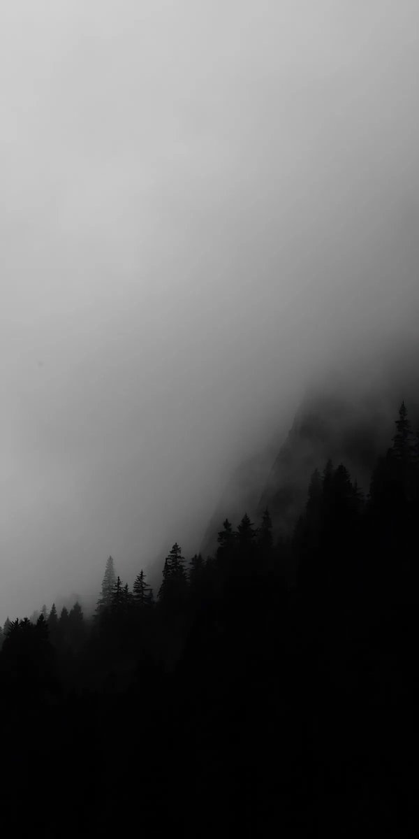 Pulaxki's tweet photo. Aesthetic Wallpaper https://t.co/yz7xlzWzsb