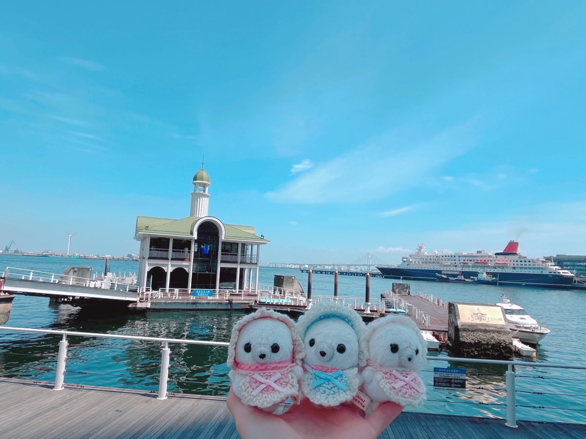 hamuhamuponpon's tweet photo. ぷかり桟橋〜✨
アザラシ🦭とにっぽん丸🚢 https://t.co/YOlItsdmWC
