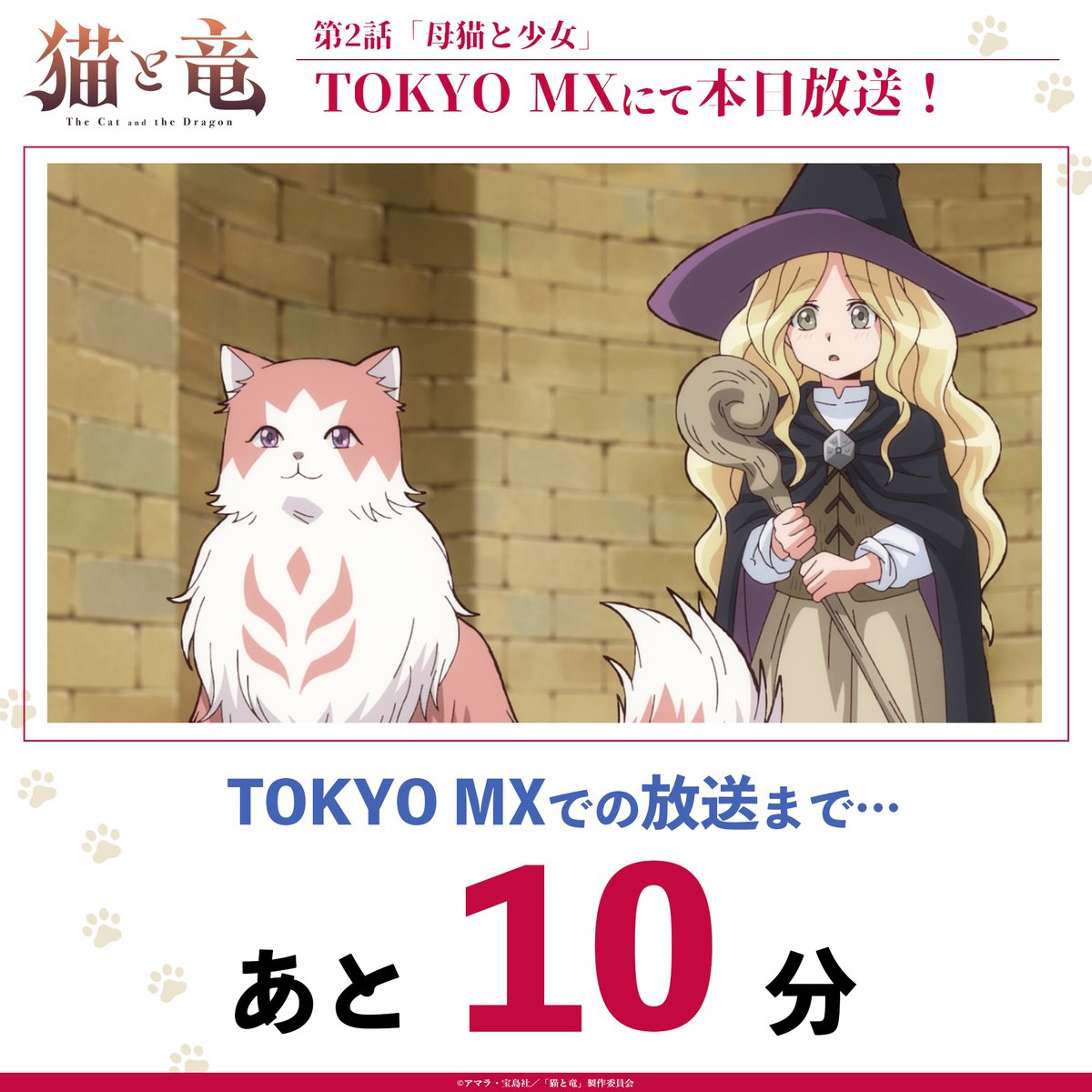NekoRyuu_PR's tweet photo. ◤放送まであと10分◢

第2話「母猫と少女」
本日このあと放送！✨

TVアニメ『#猫と竜』第2話
📺TOKYO MX：7/11(土)21:00〜
📺ＢＳ日テレ：7/13(月)23:30〜
📺読売テレビ：7/14(火)25:29〜
📺AT-X：7/16(木)22:30〜
📺長崎文化放送：7/15(水)25:20〜

💻地上波1週間先行・最速配信中
dアニメストア、ABEMA