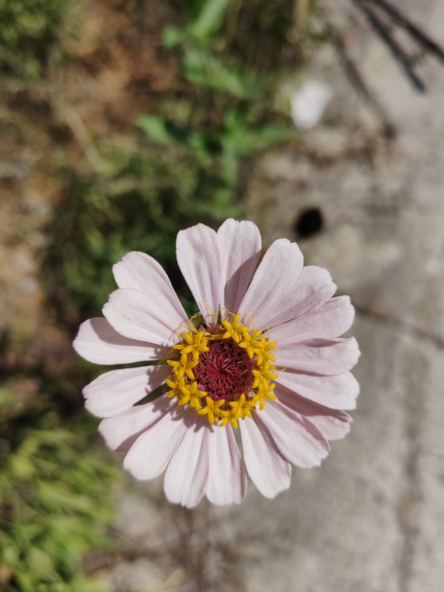 Tungdil84's tweet photo. Hey everyone! Just grabbed a warm latte and walked past a stranger helping an elderly man cross the street – small acts of kindness really make the day brighter! , https://t.co/Gubo4xCH7v