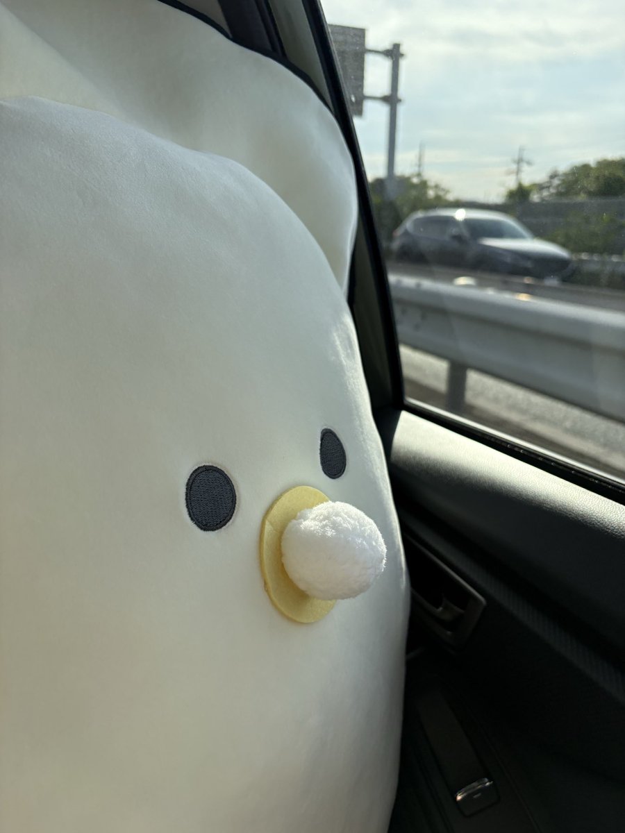 つぶちゃんページ　rp つぶ活