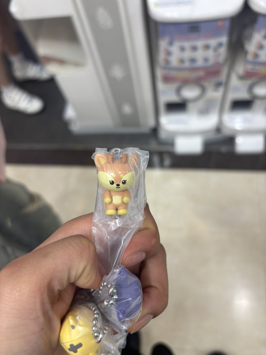 虎ねこ🐯🍚 tweet media