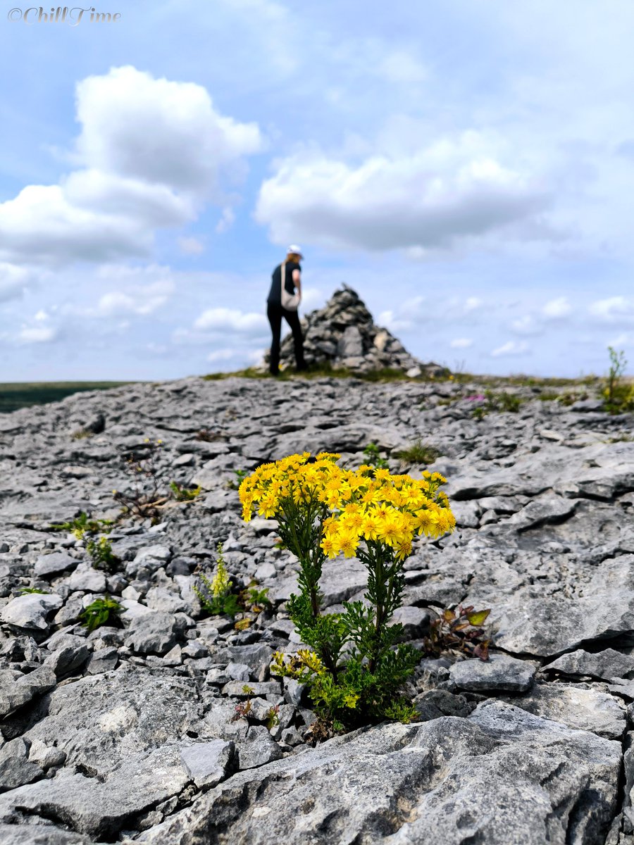 chillouttime369's tweet photo. Burren National Park Ireland 🌏 https://t.co/WfM2s1BenN