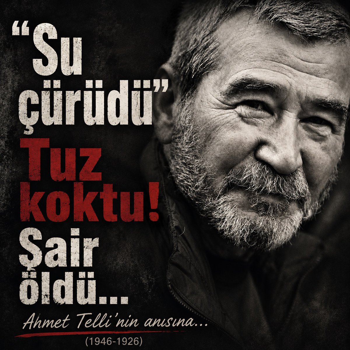 aziz çelik tweet media