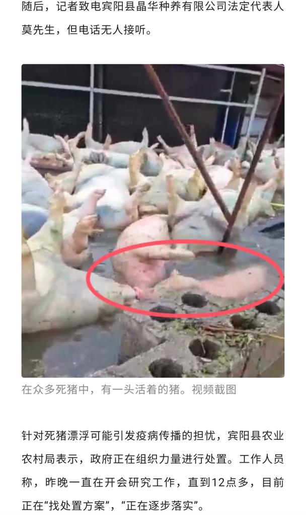 oldhero006's tweet photo. @chukuang2018 中国人睡水里 https://t.co/kHTERF7kAc