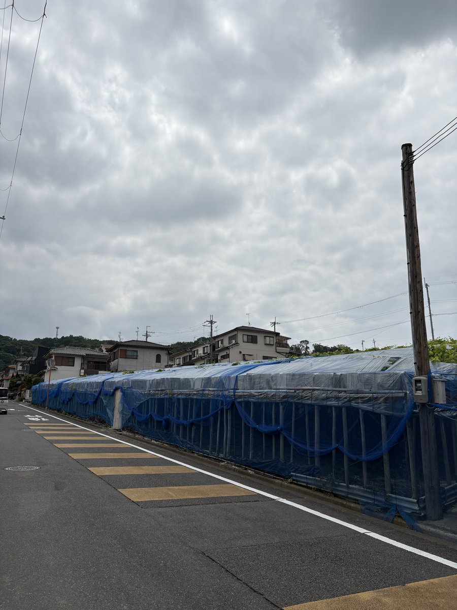 ogawa2828's tweet photo. ▪️ぶどう🍇畑
柏原・国分本町7丁目のぶどう畑も
最盛期ですね。
直売所も活気あります

この先に納品に来ております。
長い坂道です　笑

#ふとん配達致します
#山道
#坂道
#細道 https://t.co/rqV7wBZEpu